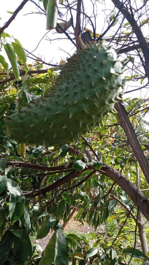 Casa Mamei バジェ・グラン・レイ エクステリア 写真